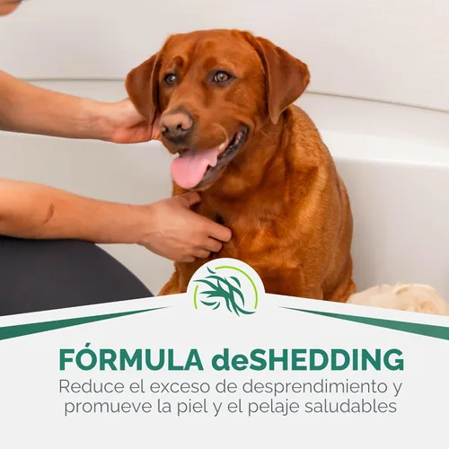 Vista 4 de FURminator Champú ultra premium para perros que ayuda a reducir el exceso de desprendimiento, 16 onzas