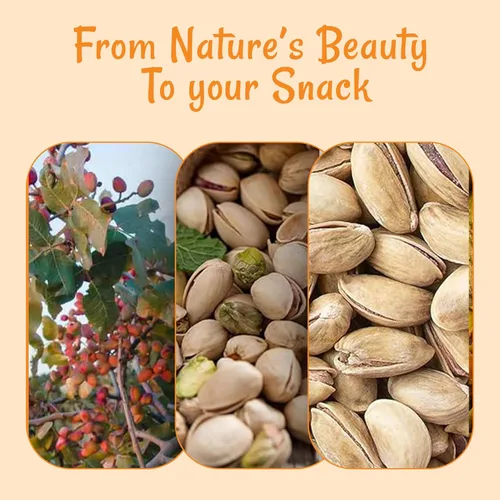 Vista 6 de Oh! Nuts Pistachios Estilo iraní – Tostado ligeramente salado – 1 libra – Nueces enteras sin cáscara – Empaquetado en bolsa con cierre de cremallera