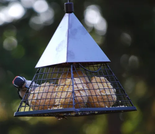Vista 4 de Wildlife Sciences Paquete de 24 bolas de sebo para pájaros, 6 paquetes envueltos individualmente de 4 bolas de sebo para pájaros