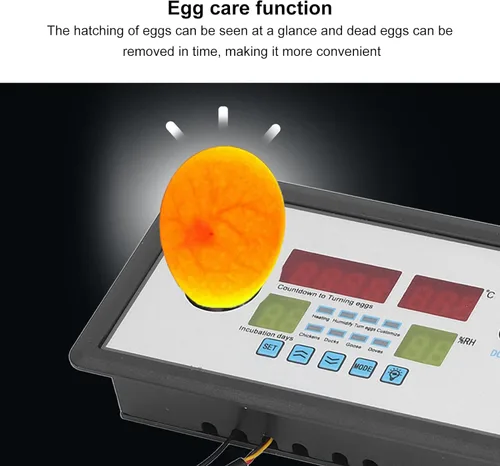 Vista 6 de Incubadora inteligente de termostato, incubadora inteligente plplaaoo , incubadora de huevos de termostato, incubadora de huevos, incubadora
