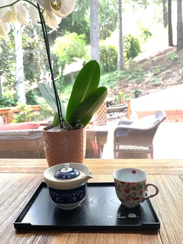 Vista 5 de JapanBargain, Bandejas de servir bandejas de plástico japonés lacado para té, bandeja de sake, platos de sushi, platos de aperitivos, hechas