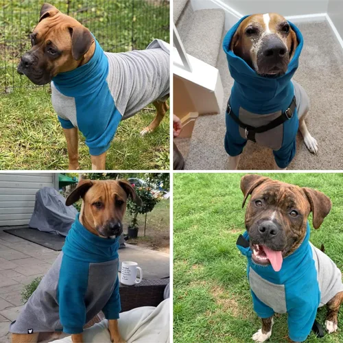 Vista 7 de Tooth & Honey Suéter grande para perro - Pitbull, verde azulado y gris (XL)