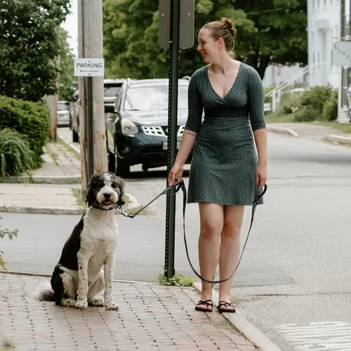 Vista 6 de Fida Correa resistente de 4 pies para perro con 2 cómodas asas acolchadas, asa de tráfico y gancho avanzado de fácil presión, correa reflectante