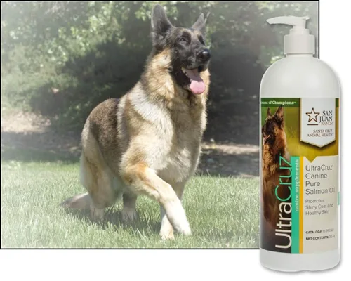 Vista 6 de UltraCruz Suplemento de aceite de salmón puro canino para perros, 32 oz, sc-395127