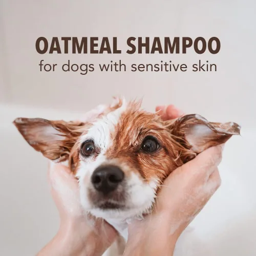 Vista 4 de Sergeant's Fur-So-Fresh - Champú de avena para perros para piel sensible, aroma a leche y miel, producto de baño para perros, 18 onzas