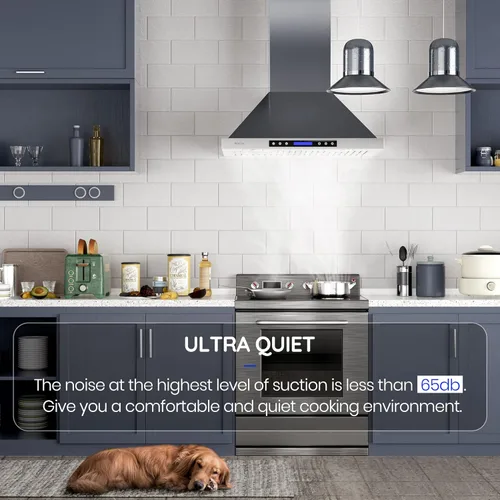 Vista 3 de Campana extractora, EKON NAP02 900CFM, campana extractora de montaje en pared, conductos/sin conductos, convertible para chimenea de cocina