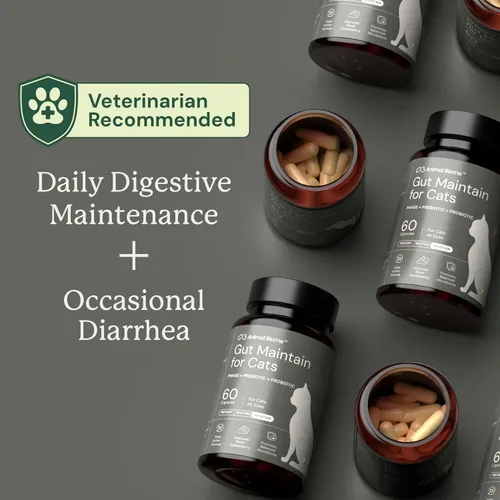 Vista 7 de AnimalBiome NEW Gut Maintain Multi-Strain Probiotics for Cats (30 Capsules) – Triple-Action Phage, Prebiotics & Probiotic Cat Supplements for
