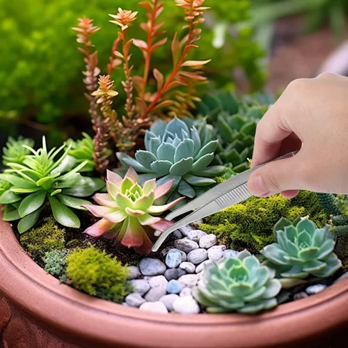 Vista 5 de SEWACC 5pcs Stainless Steel Succulent Gardening Tweezers Lightweight Pointed and Curved Tips for DIY Moss Micro Landscape Planting Portable