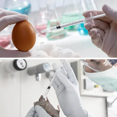 Vista 7 de Paquete de 30 jeringas de plástico de 0.03 onzas líquidas de capacidad, envoltura individual estéril (sin aguja), jeringas Luer Lock con tapa