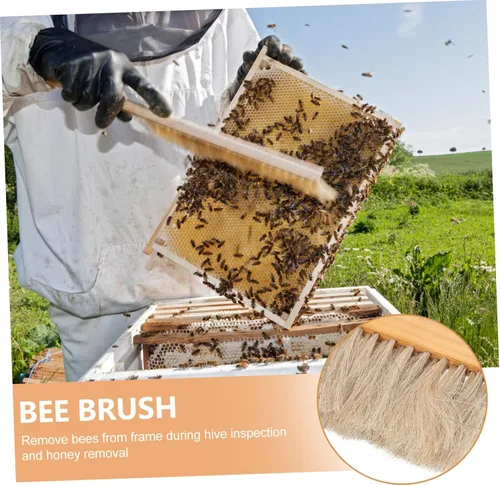 Vista 3 de SUPVOX Cepillo de abeja resistente con mango de madera para apicultores para mantenimiento de colmenas