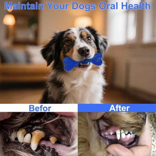 Vista 5 de Juguetes para perros, paquete de 15 para limpieza de dientes y diversión, juguetes para morder y dentición para cachorros, cuerda interactiva