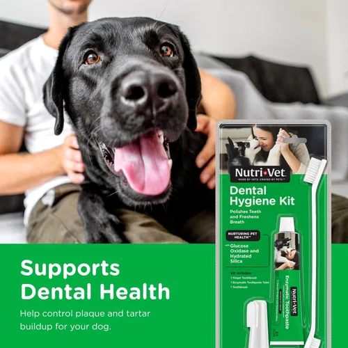 Vista 2 de Nutri-Vet Kit de higiene dental para perros con cepillo de dientes, cepillo de dientes de dedos y pasta de dientes enzimática, 2.5 onzas, 5 x 10 x
