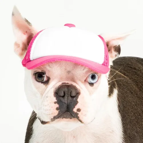 Vista 13 de DIY PupLid Trucker Hats (negro/blanco, XXS) - Sombrero de perro personalizable, lona en blanco para diseño personalizado, ajustable, protección