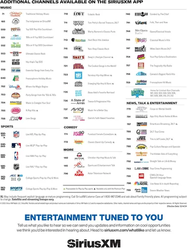 Vista 12 de SiriusXM SXPL1V1 Onyx Plus Radio Satelital con Kit para Vehículo – Fácil de Instalar, Disfruta de SiriusXM en Tu Sistema de Audio de Coche Existente