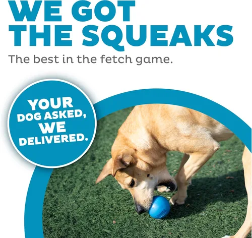 Vista 3 de Outward Hound by Planet Dog Squeak Ball Bouncy Fetch - Juguete para perro, color azul