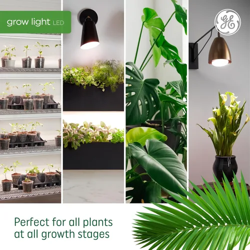 Vista 6 de GE Lighting - Luz LED para cultivo y horticultura