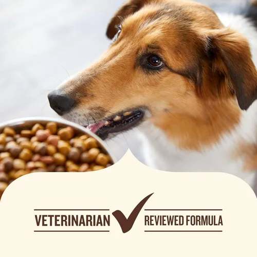 Vista 7 de Nutrish Gentle Digestion and Whole Health Blend Premium Paté - Alimento húmedo para perros, lata de 13 onzas, paquete de 12, el embalaje puede