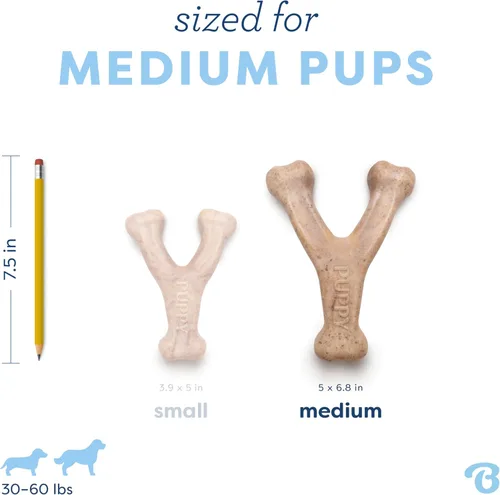 Vista 4 de Benebone Juguete para masticar de hueso en forma de espoleta para perros cachorros, sabor a tocino real, fabricado en Estados Unidos, mediano