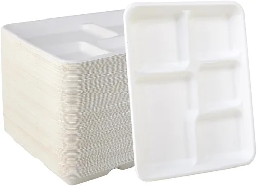 Vplus Platos 100% compostables con 5 compartimentos, paquete de 125 platos ecológicos desechables de caña de azúcar de 10 x 8 pulgadas, bandeja de