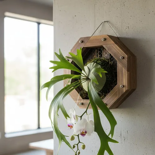 Vista 8 de Kit de montaje de helecho de cuerno de ciervo Marco de plantación colgante de madera para macetas de pared para orquídeas y hierbas