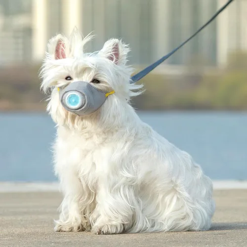 Vista 6 de STOBOK Cubrebocas protector transpirable para perro para polvo, filtro PM2.5, ajustable, cara de perro pequeño para contaminación al aire libre