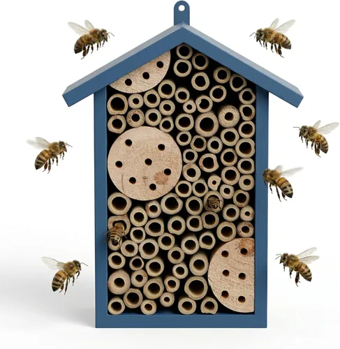 Casa de abejas de madera para jardín, colmena de abeja de madera natural hecha a mano para mariquitas, crisopas, mariposa, insecto, hotel de abeja