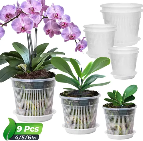 Vista 12 de T4U Clear Orchid Pots 6.3 Inch 6 Pack, Orchid Pot with Holes Repotting