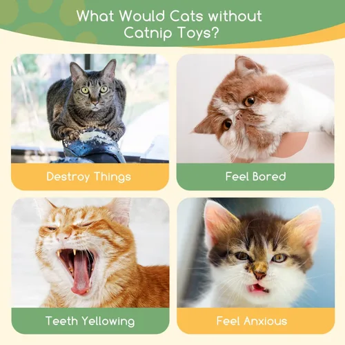 Vista 5 de Nobleza Juguetes de hierba gatera, 5 juguetes masticables para gatos de interior, lindas formas de animales, juguetes de dentición con papel