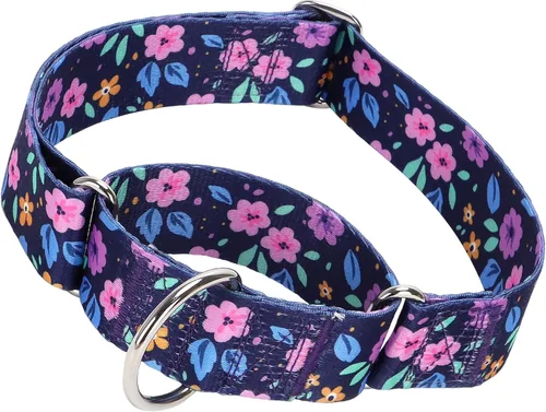 Vista 15 de Collar Martingale para Perro de 1.5 Pulgadas de Ancho - Diseño de Calavera Extra Resistente para Perros Grandes, Collar de Entrenamiento Ajustable