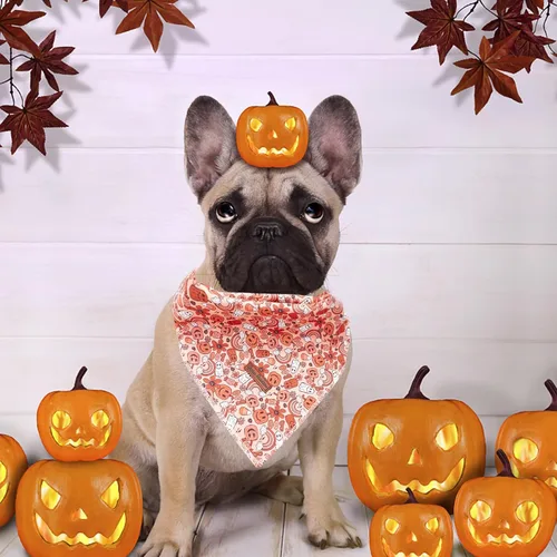 Vista 5 de Pañuelo de otoño para perro, 1 bufanda de Halloween para perro, bufandas para perros, bufanda para mascotas, pañuelo para mascotas, bufandas
