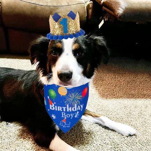 Vista 2 de ADOGGYGO Conjunto de gorro bandana para perro para suministros de fiesta de cumpleaños, bufanda de cumpleaños para mascotas para perros medianos