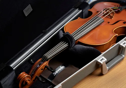Vista 6 de Boveda Instrumentos musicales de madera, control de humedad de 2 vías RH, 49% RH, tamaño 70 para instrumentos de madera, protege todos