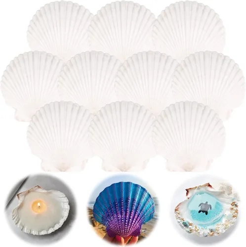 Vista 8 de 6PCS Scallop Shells for Crafts 4''-5'' Natural White Large Shells Decoration for DIY Craft Painting, Home Decor, Baking and Beach, Wedding Party