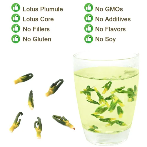 Vista 7 de Plant Gift Plúcula de loto secado, hierbas secas a granel con núcleo de loto, té saludable y núcleo de semilla de loto Wild Nature, corazón de loto