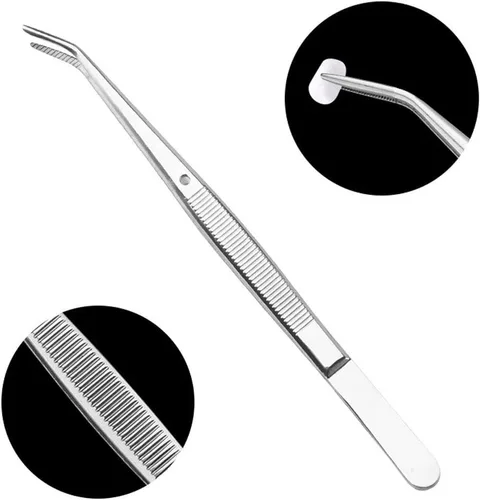Vista 2 de Herramientas dentales - Pinzas de acero inoxidable con punta dentada curvada Pinzas multiusos para cuidado bucal familiar Limpieza dental dental