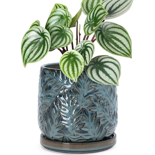 Vista 29 de D'vine Dev Maceta de cerámica con hojas en relieve de 4 pulgadas con orificio de drenaje y platillo, azul grafito, 27-A-Z-9