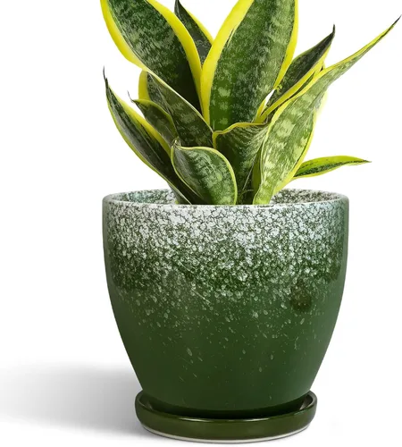 Vista 31 de Macetas de Cerámica EPFamily - Macetas de 6 Pulgadas para Plantas de Interior y Exterior, Maceta Redonda con Agujero de Drenaje y Platillo, Macetas