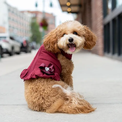 Vista 6 de Christian Siriano New York Chaqueta acolchada con volantes morados para perros, S Púrpura