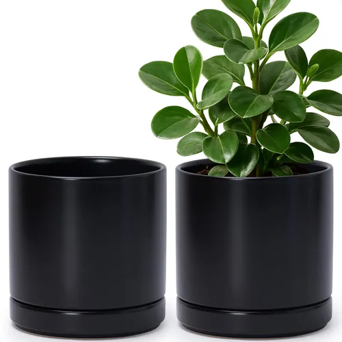 Vista 38 de D'vine Dev - Juego de 2 macetas de plantas de 3.5 pulgadas, maceta de cerámica para plantas con agujero de drenaje y platillo, negra, 94-V-A-2