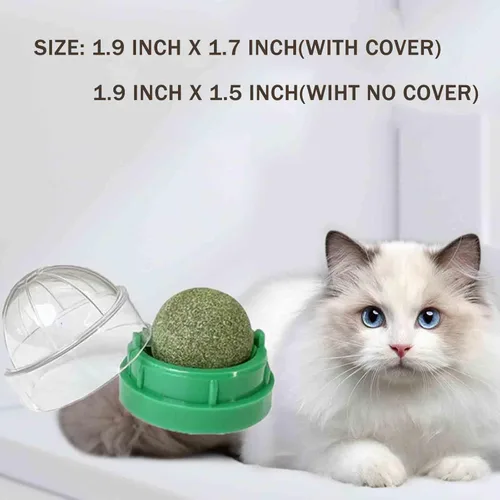 Vista 2 de 6 bolas de hierba gatera - Bolas de hierba gatera que se pegan en la pared