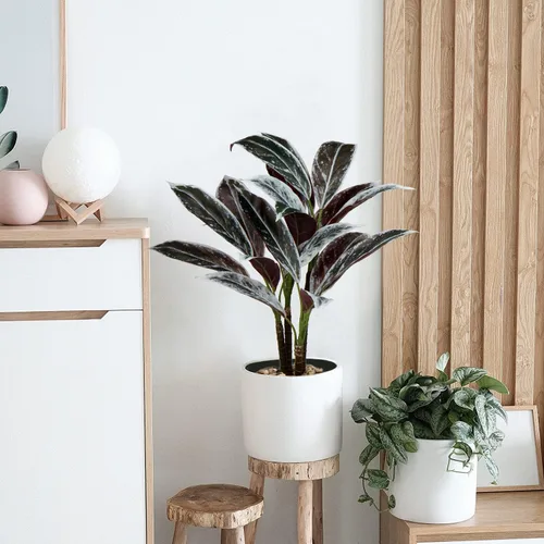 Vista 5 de Briful Planta artificial de Fruticosa de Cordyline de 24.8 pulgadas, plantas artificiales decorativas para interiores tropicales en maceta blanca