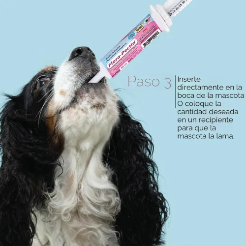 Vista 10 de Pasta oral para perros y gatos, ayuda a reducir las heces sueltas ocasionales y la diarrea, equilibra el pH intestinal, apoya la digestión normal