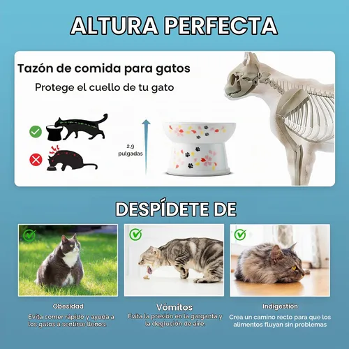 Vista 5 de Necoichi Pocelain - Cuenco elevado de cerámica extra ancho para gatos (gato, extraancho)