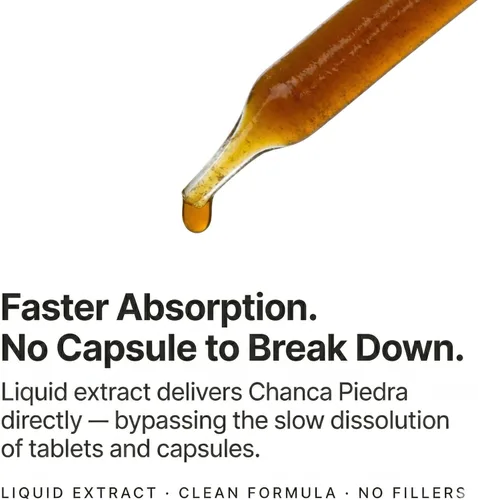 Vista 3 de Blue Organix Chanca Piedra Stone Breaker Extracto líquido de 2 onzas, soporte para la salud renal, 1 botella