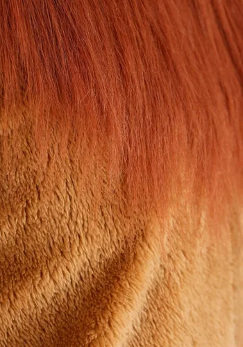 Vista 5 de Disfraz de león de lujo para niños, disfraz de Halloween