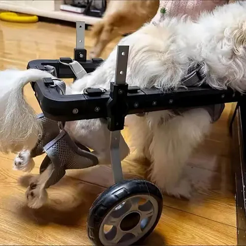 Vista 7 de JYHHCYS Silla de ruedas portátil para patas traseras para perros pequeños, carrito ligero y ajustable para perros - Silla de ruedas para mascotas