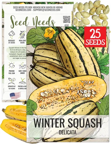 Vista 28 de Seed Needs, Burgess Buttercup - Semillas de calabaza de invierno, 25 semillas tradicionales para plantar Cucurbita Pepo, sin OMG y sin tratar