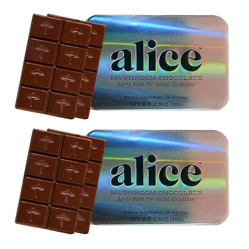 Vista 15 de Alice Mushrooms Brainstorm Chocolates de Hongos Bocados Energéticos para Concentración, Claridad y Función Cognitiva Melena de León, Hongos