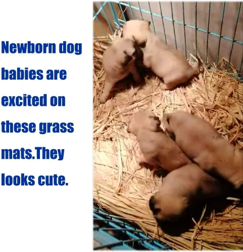 Vista 8 de Tapete de césped tejido para cama de animales pequeños, ropa de cama de conejos, juguete masticable, juguete para jugar en la cama, juguete