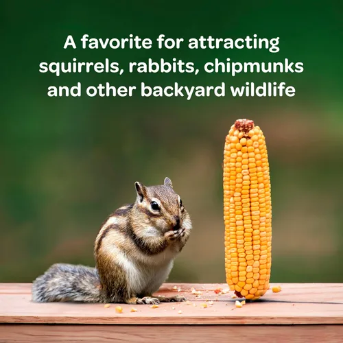 Vista 2 de Kaytee Maíz en la Mazorca, 6.5 lb